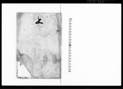 上（御新法執行の処取立米内にて差引の旨につき歎願書） / Document of Laws image