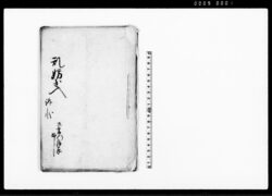 乱妨出入訴状(分家甚左衛門留守宅に同村年寄兵左衛門ほか押入乱妨狼藉につき) / Document of Litigation image