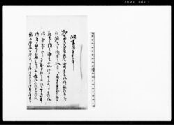 以書附奉願候事（新次郎不調法にて入牢の件につき引下願） / Document of Community image