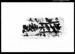 御用書留（帳）（信濃国安曇郡塩島新田村） / Document of System image