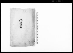 御請書（悪党差押置の為組合親村へ圏補理の旨につき請書） / Document of Rural Area image