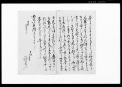 御尋ニ付以書付奉申上候（番号札打建の儀御尋問につき） / Document of Rural Area image