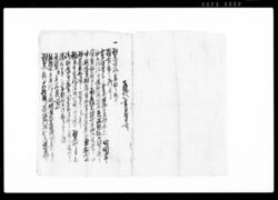羽黒行流宗祖之儀御尋ニ付奉申上候書(行流本末寺院御支配被下候儀につき) / Document of Temples and Shrines image