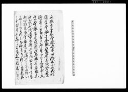 (文政度以来通用の金銀通用停止につき触書) / Document of Politics image