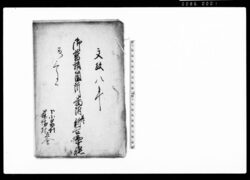 御普請箇所番附并ニ新古遣帳　下小泉村・篠塚村立会（定式御普請所取調帳） / Document of Politics image