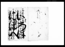 御法度書之覚（御挙場・御留場鳥殺生御制禁につき連印） / Document of Laws image