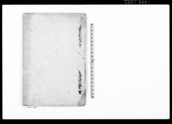 （下総国千葉郡中田村御差出シ帳） / Document of Rural Area image