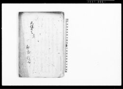 乍恐以書付始末奉申上候(当月御新田の儀一同難儀につき) / Document of Rural Area image
