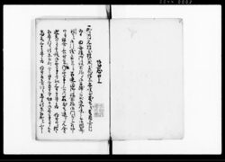 諸願書附留（大坂平野流町　五） / Document of Townspeople image