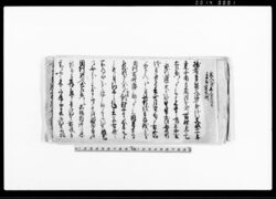 （御百姓相続相立候様被成下度に付　願書　留） / Document of Litigation image