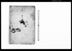 申渡書（百姓取締につき定） / Document of Laws image
