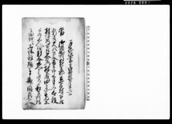 乍恐以書付御歎願奉申上候（立木村百姓新吉他8名村坪内百姓所持の田地へ不法難題困窮を申し掛けられるにつき差し添え願い上げ） / Document of Rural Area image
