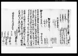 （年貢諸色皆済不罷成ニ付 田畑永代相渡証文） / Document of Litigation image