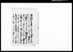 （関東取締出役触） / Document of Laws image