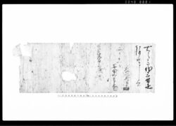 進上（御太刀一腰、御馬一疋） / Document of Samurai Class image