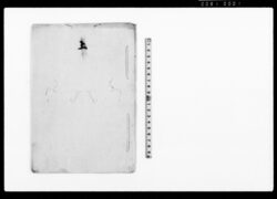 上（私共大切之役義相勤兼候今般役義御免につき願） / Document of Rural Area image