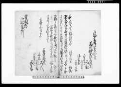 乍恐書付ヲ以奉願上候（播州神西郡鶴井村死刑囚死骸引渡につき） / Document of Rural Area image