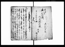 武州葛飾郡倉松村御門訴一件 控 / Document of Litigation image