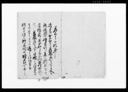 差上申一札之事（無宿とも狼藉等につき御請印形一札） / Document of Rural Area image