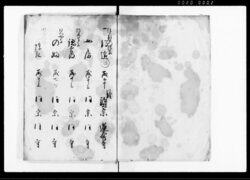 人馬御改帳(武州入間郡川越喜多町) / Document of System image