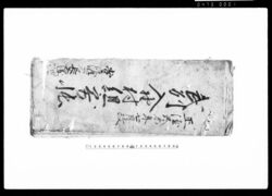 武州入野村組寄帳（百姓所持仕候田畑・屋敷ニ付） / Document of Rural Area image