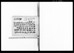 （御触書并御達向書抜） / Document of Laws image