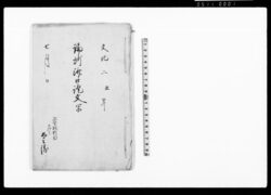 論所済口証文写（下総国印旛郡布鎌新田など24ヶ村村境水囲之儀） / Document of Contract image