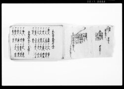 （弘化２～３年御用留） / Document of Rural Area image
