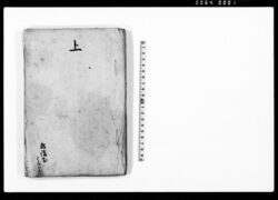上（院内大山様御供仕江戸表江罷登九月中帰宅につき意見書 / Document of Rural Area image