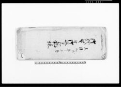 御代替ニ付御巡見記録(代替にて巡見につき・人足等書き上げ帳) / Document of System image
