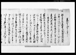 差入申済口之事（富田村御林御払雑古木600駄取片付につき内済）他 / Document of Rural Area image