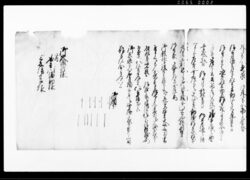 乍恐御内々以書附奉願上候 (御殿様仰渡之儀につき) / Document of Rural Area image
