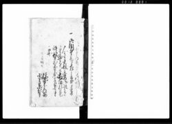 登前 / Document of Laws image