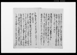 （百姓共迷惑筋取調申上候様ニ付） / Document of Rural Area image