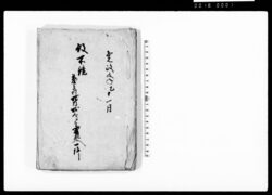 役所鏡　台方村地内砂郷ニ而変死人一件 / Document of Litigation image