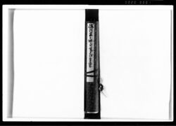 勝海舟意見書控（徳川家々政につき愚存） / Copy of an Opinion Written by Katsu Kaishū (Humble Opinions on Tokugawa Family Economics) image