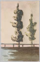 針葉樹 / Conifers image
