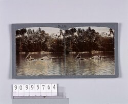 セイロンの象の水浴(No.199) / Elephants of Ceylon Bathing (No. 199) image
